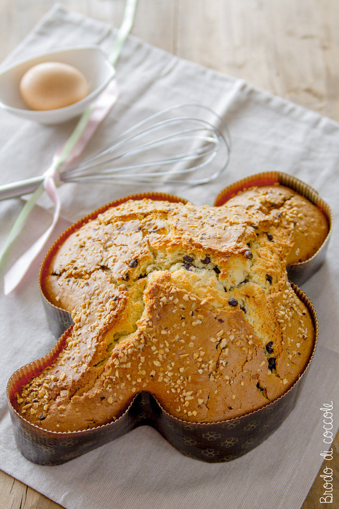 Colomba veloce di Anna Moroni