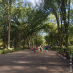 Central Park - Viali