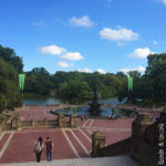 Central Park - Vista