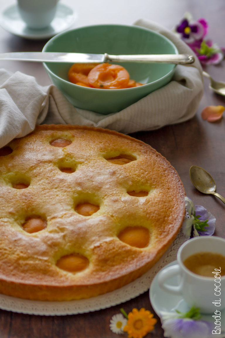 Torta morbida con yogurt e albicocche