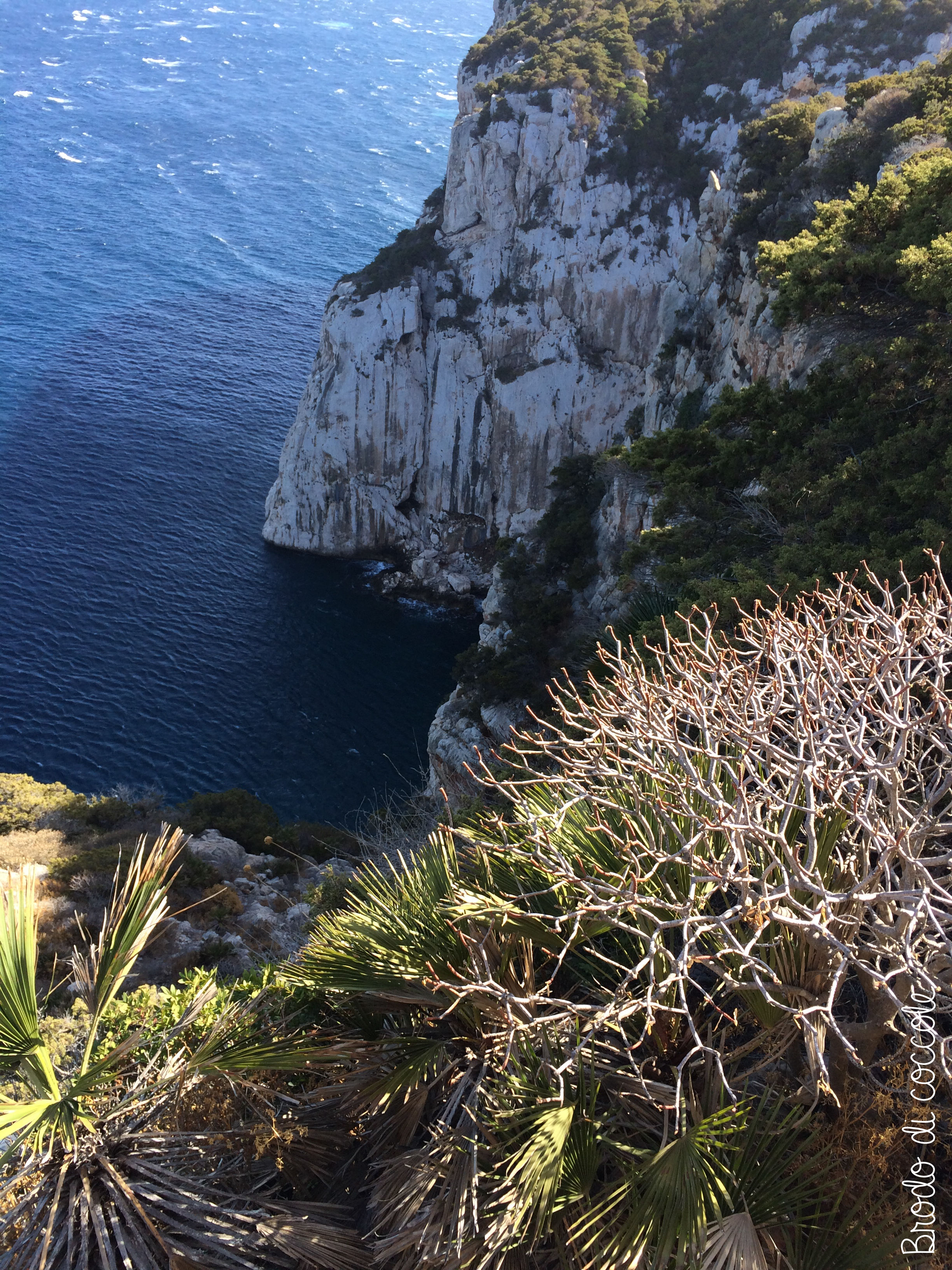 Sardegna - Capo Caccia