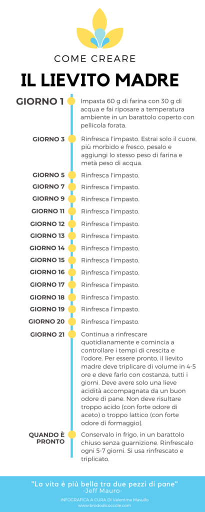 Infografica Lievito Madre