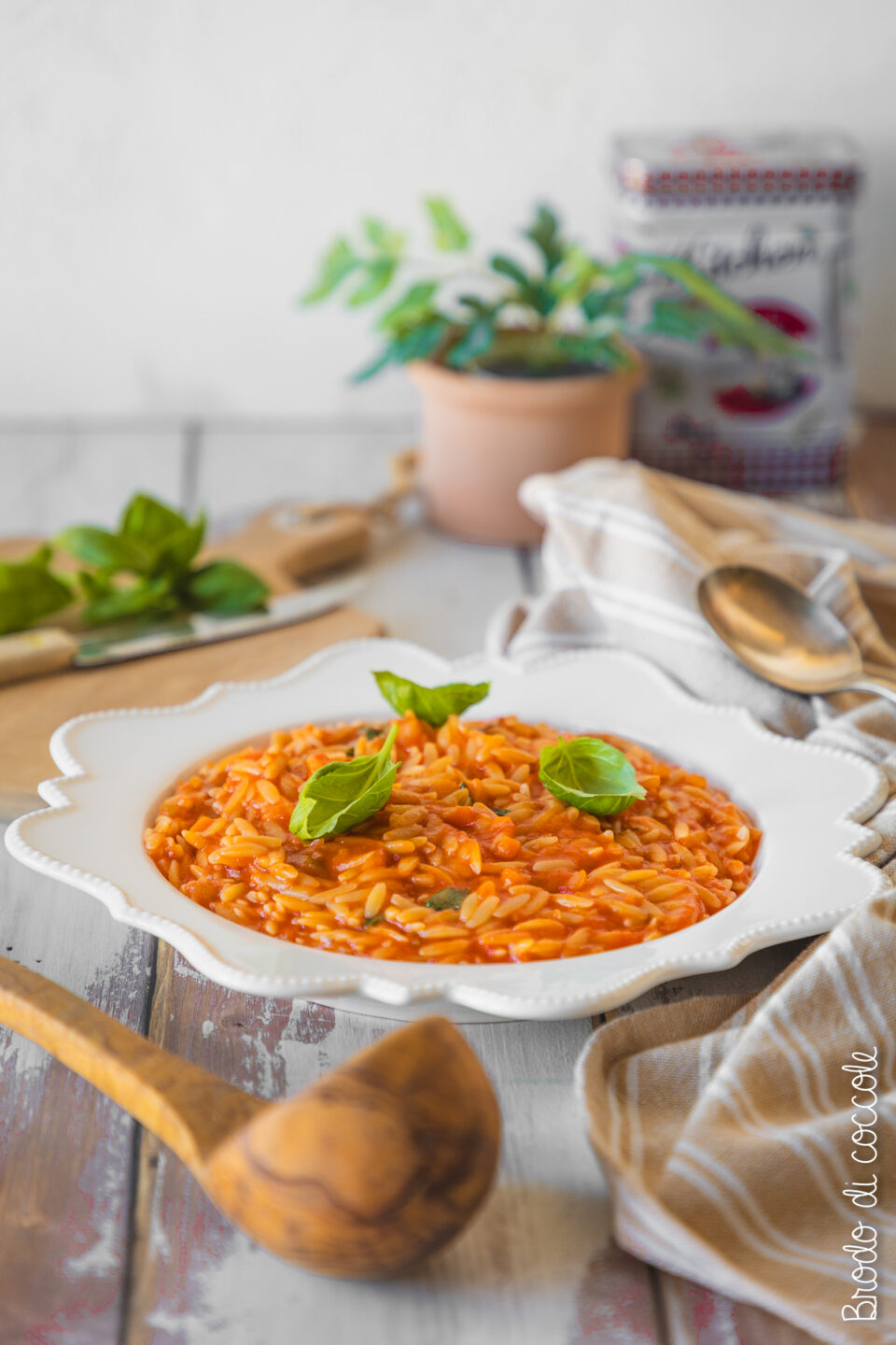 Pastina risottata al pomodoro