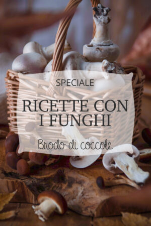 Ricette con i funghi